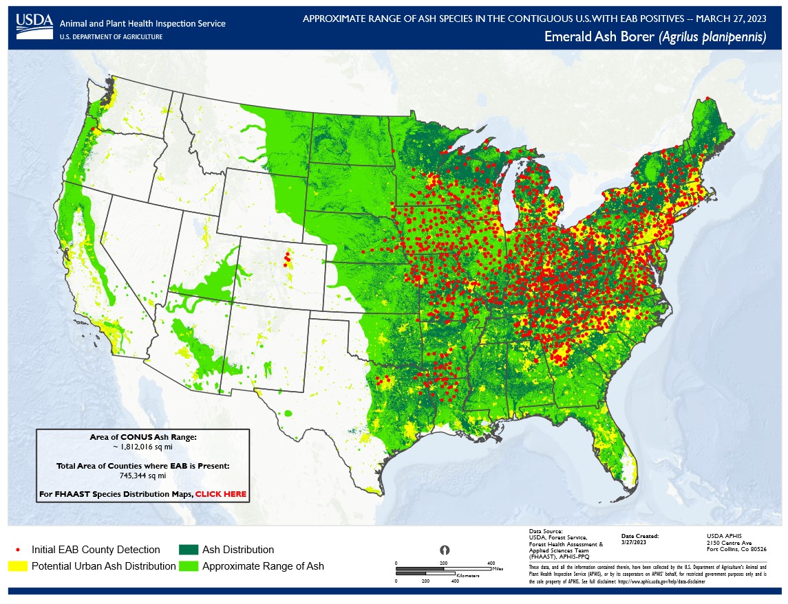 EAB and Ash Map