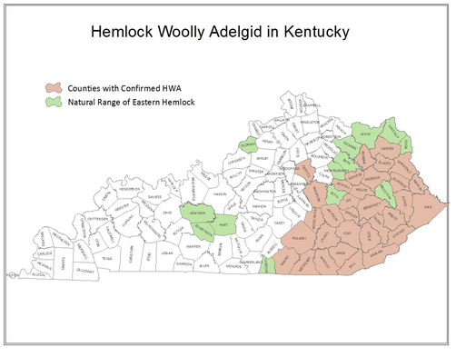 Hemlock Woolly Adelgid Map