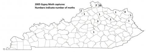 2005 Spongy Moth captures Map