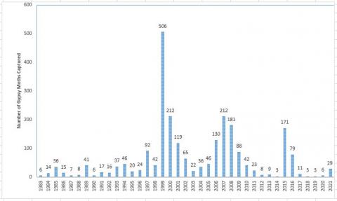 chart_1983_to_2021.jpg
