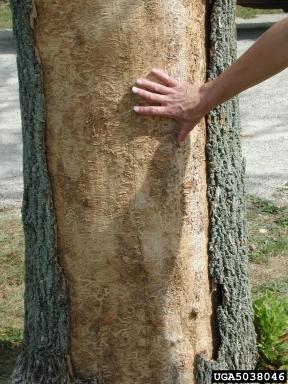 eab_gallery3.jpg