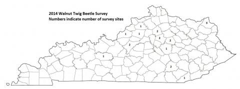 Thousand Cankers Disease Survey: 2011 - 2017 | Kentucky Cooperative